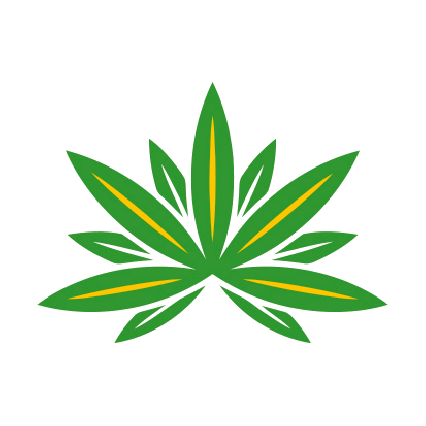 una hoja de marihuana verde y amarilla sobre un fondo blanco