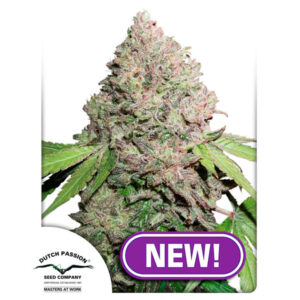 Tricomas - Tienda online CBD Alta Calidad