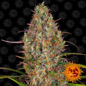 Tricomas - Tienda online CBD Alta Calidad