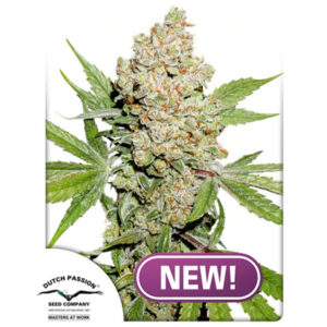 Tricomas - Tienda online CBD Alta Calidad