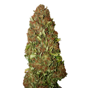 Tricomas - Tienda online CBD Alta Calidad