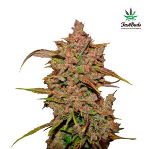 Tricomas - Tienda online CBD Alta Calidad