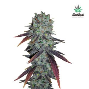 Tricomas - Tienda online CBD Alta Calidad