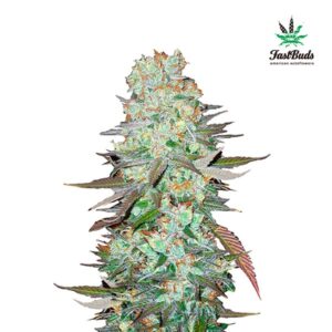 Tricomas - Tienda online CBD Alta Calidad