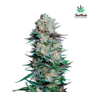 Tricomas - Tienda online CBD Alta Calidad