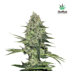 Tricomas - Tienda online CBD Alta Calidad